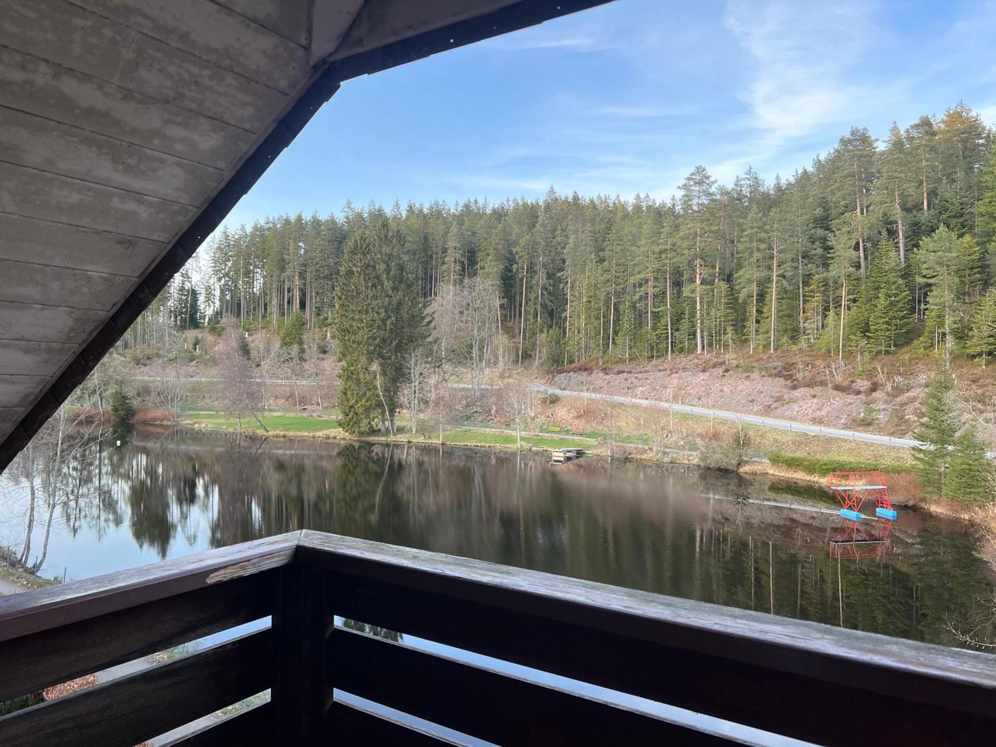 Haus Am See - Natur Pur Friedenweiler 外观 照片