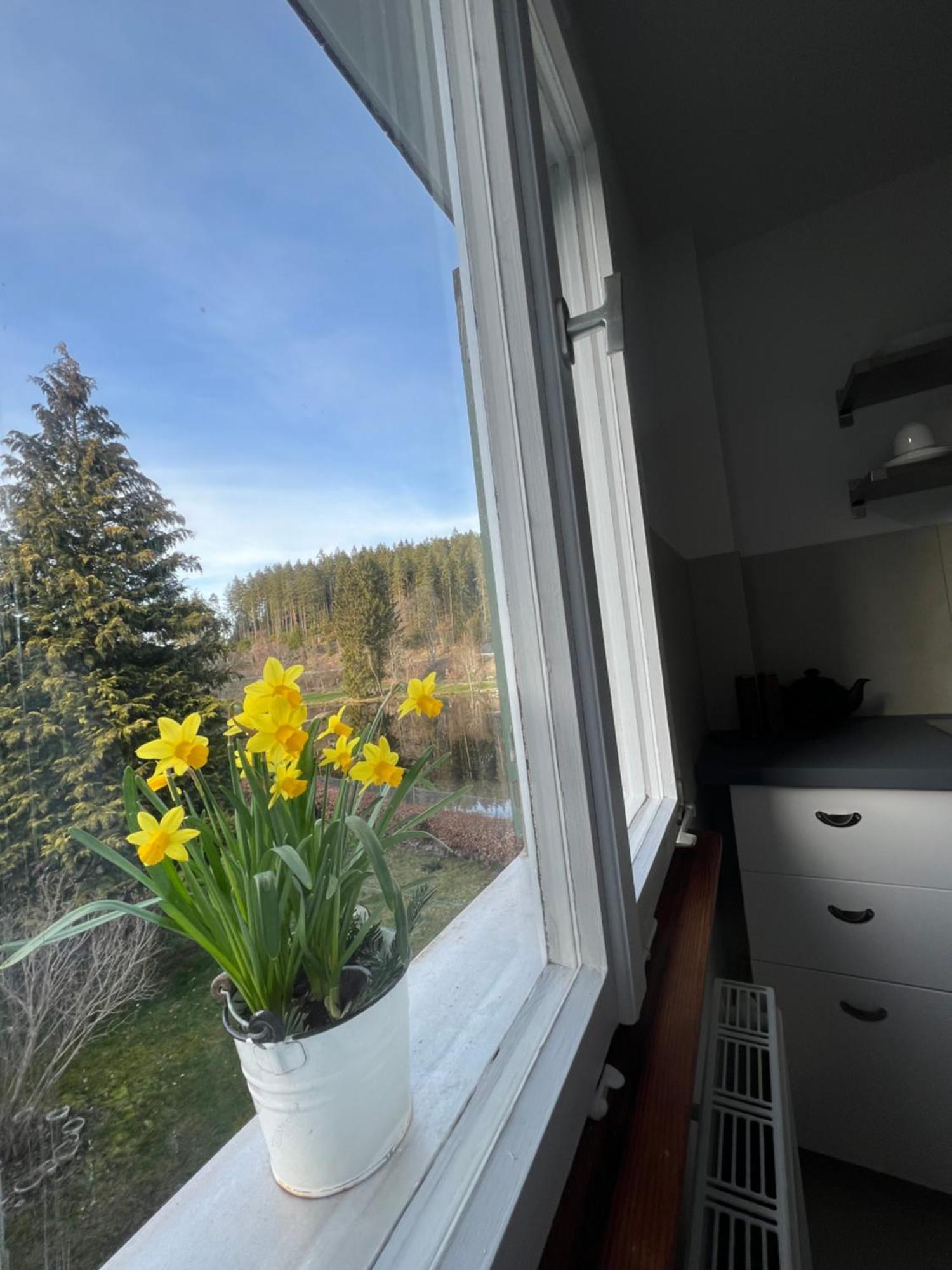 Haus Am See - Natur Pur Friedenweiler 外观 照片