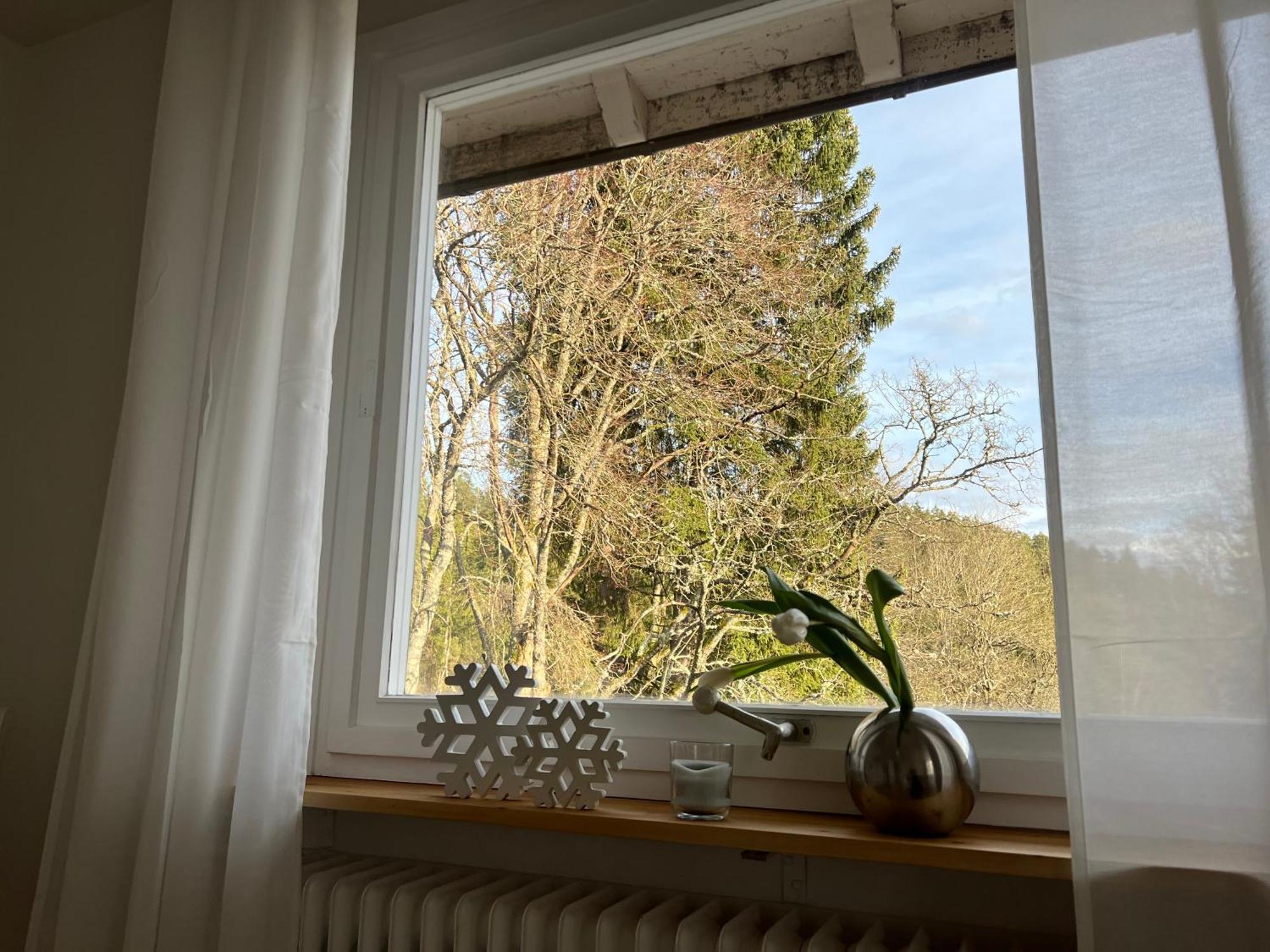 Haus Am See - Natur Pur Friedenweiler 外观 照片