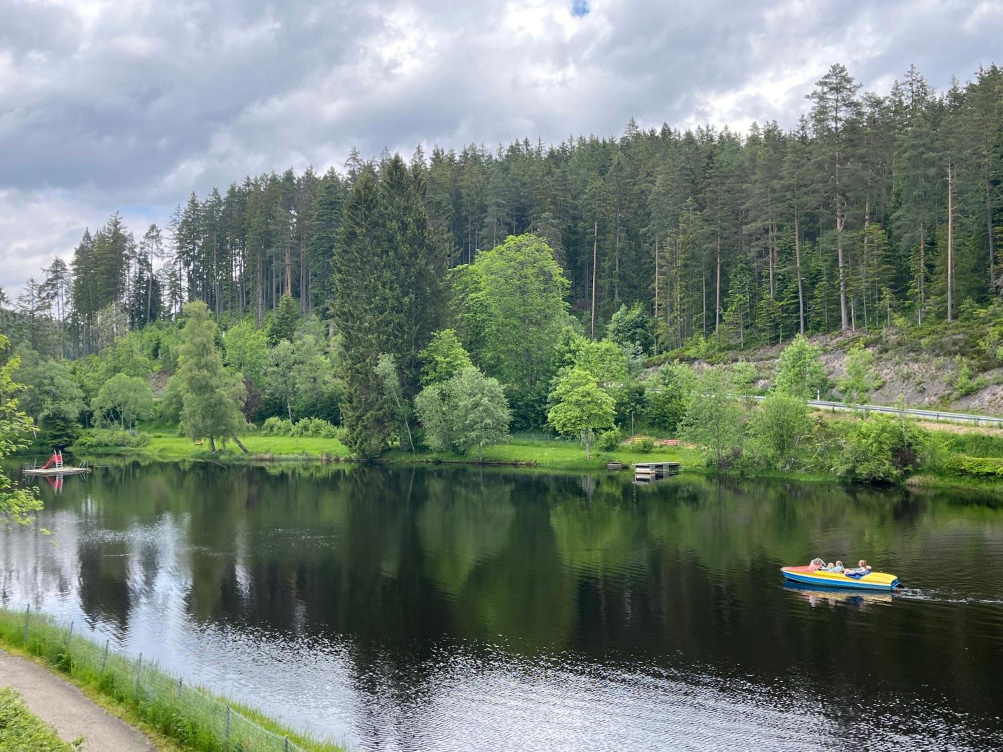 Haus Am See - Natur Pur Friedenweiler 外观 照片