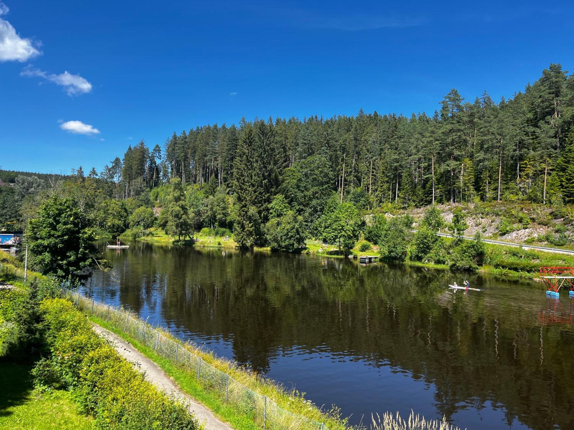 Haus Am See - Natur Pur Friedenweiler 外观 照片