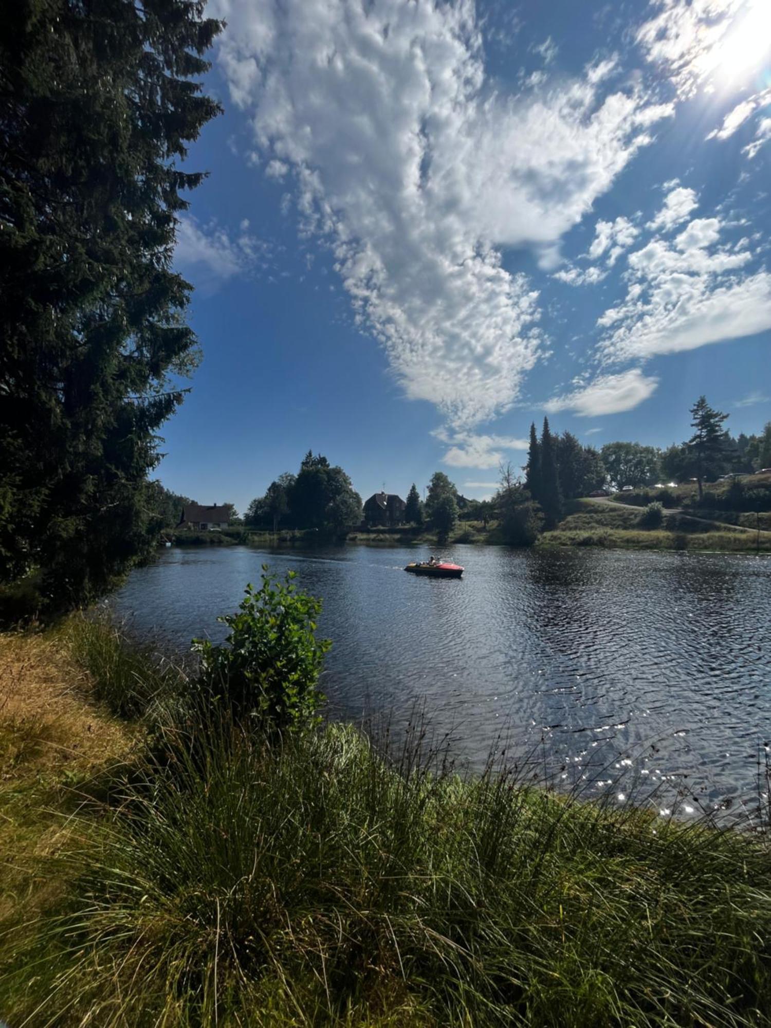 Haus Am See - Natur Pur Friedenweiler 外观 照片