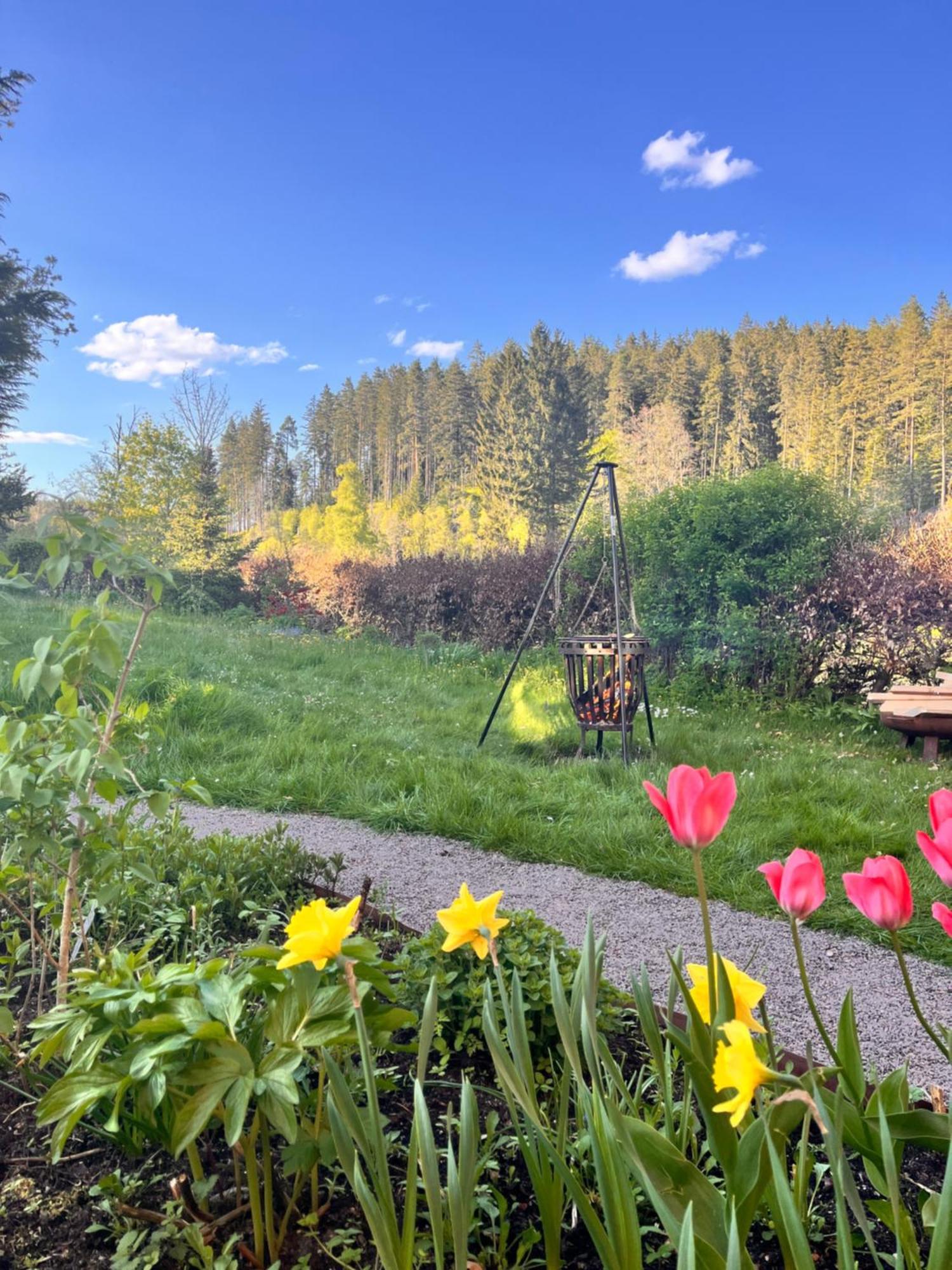 Haus Am See - Natur Pur Friedenweiler 外观 照片