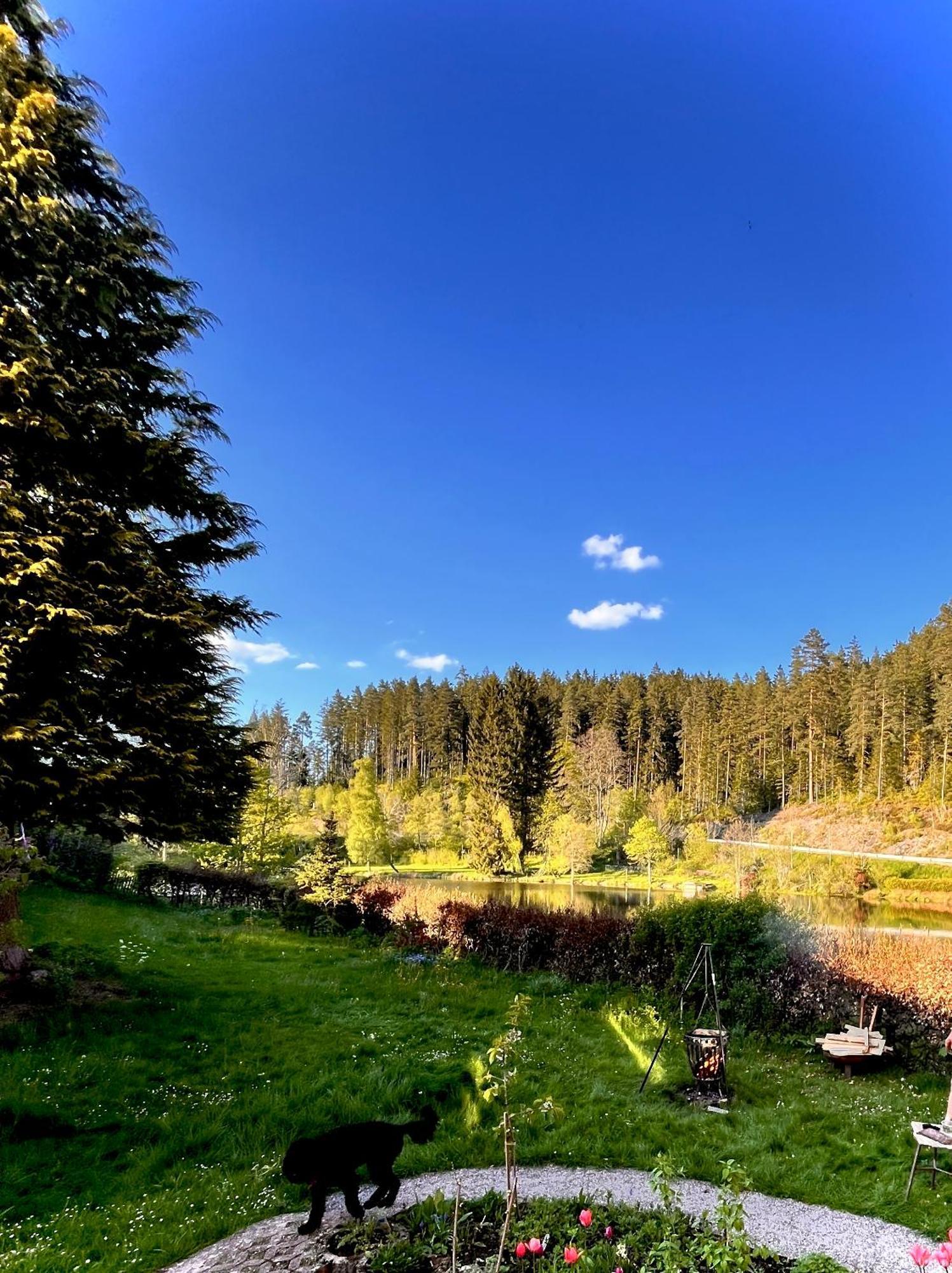 Haus Am See - Natur Pur Friedenweiler 外观 照片
